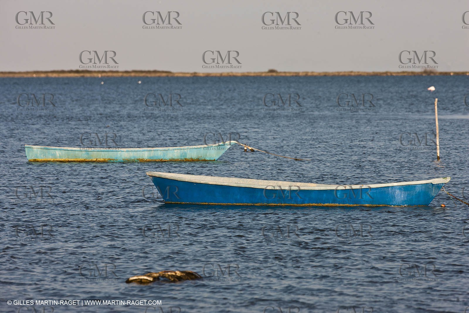 18 04 2011 - Les Saintes Maries de la Mer -  on Les Imperiaux pond