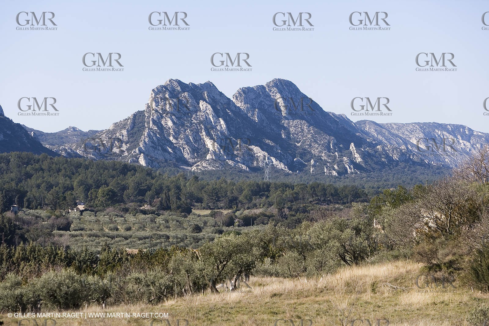 15 02 2007 - Provence - Les Alpilles