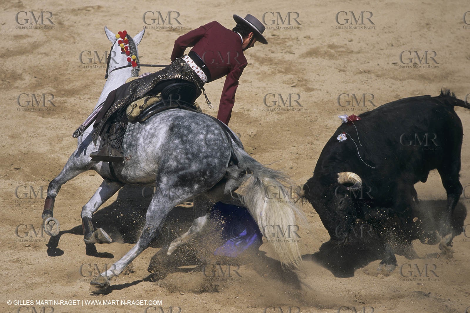 France, Provence, Traditions, Tauromachie, bull fights