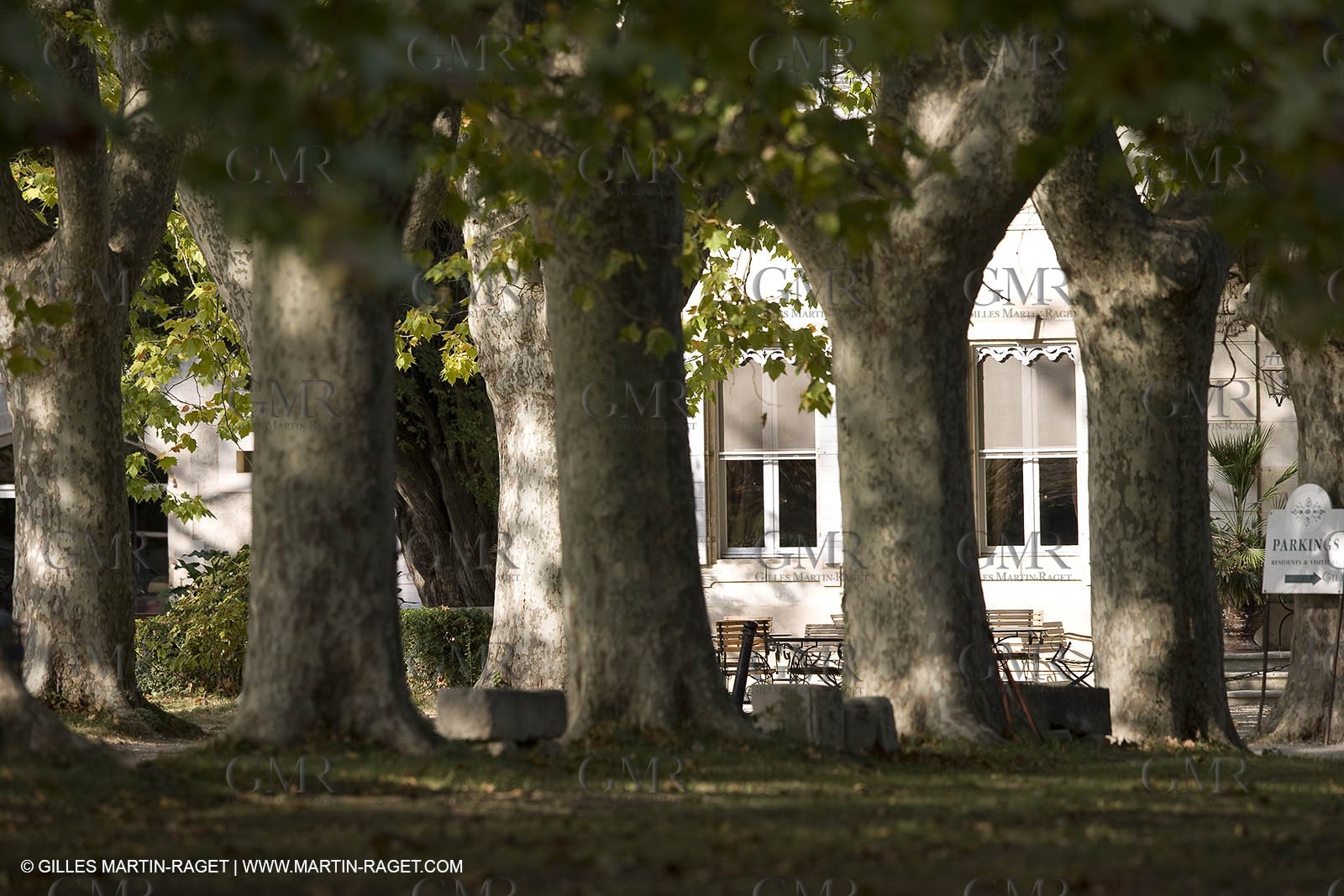 28 10 2007 - St Rémy de Provence (FRA,13) - Chateau des Alpilles