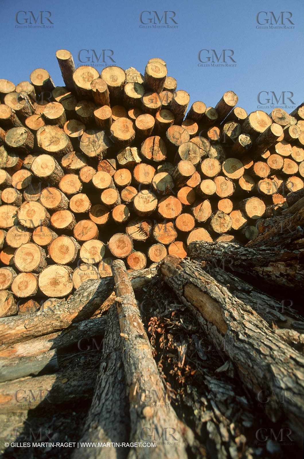France - Southern Alps