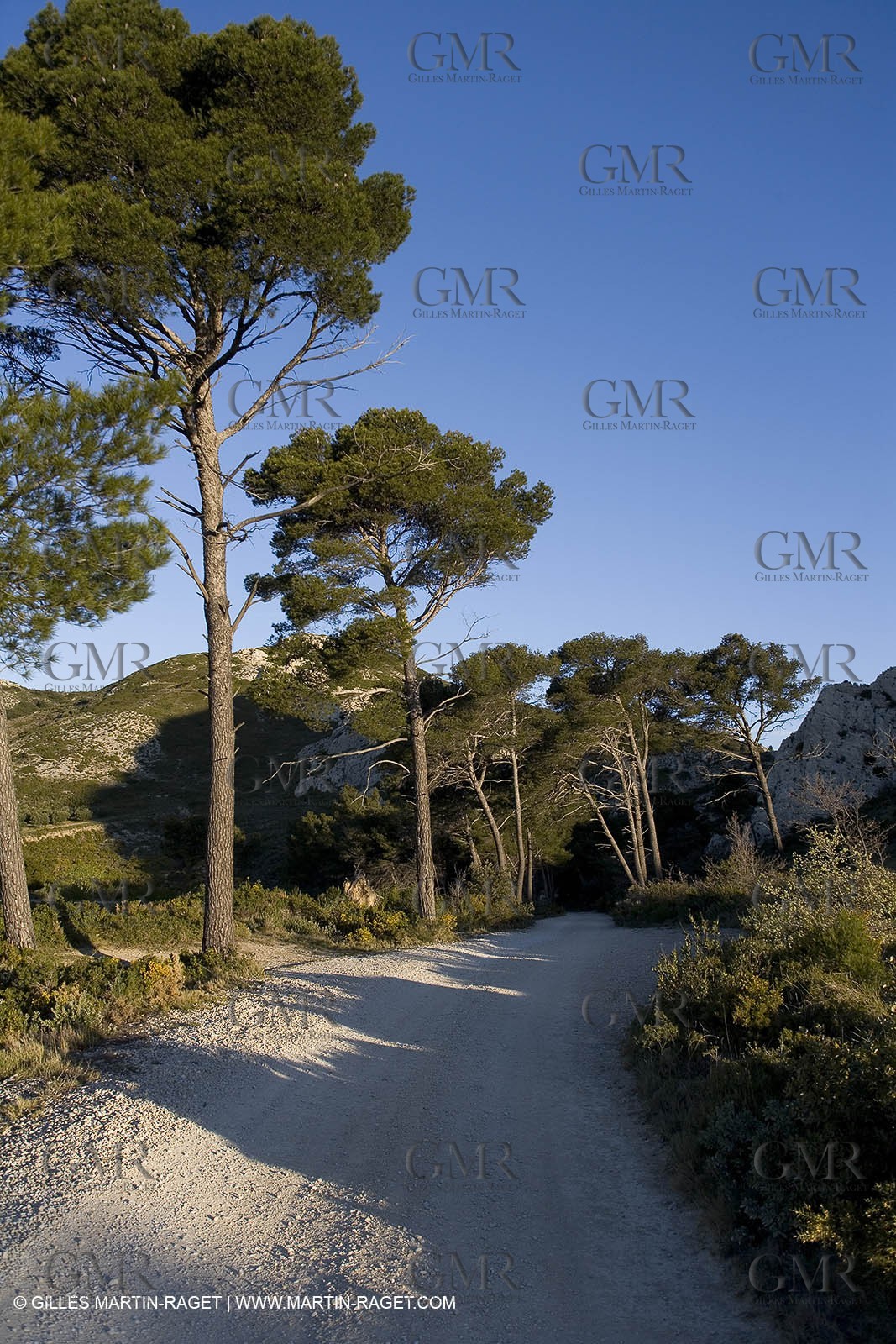 27 03 2008 - Les Baux de Provence (FRA,13) - Alpilles hills landscapes