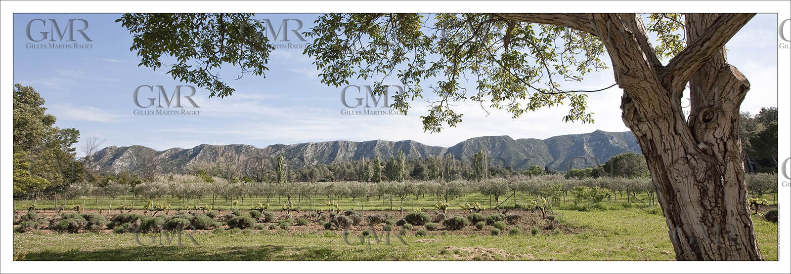 Product: in house made quality print on 8 ultrachome colors Epson ink Jet printer.Available sizes: . 20x 60 cm. 33 x 95 cm. 52 x 150 cmAvailable papers: . Standard 250 gr glossy paper print, black streak, white margin, no signature. Top quality glossy 290 gr. paper, black streak, white margin, checked and signed by the author. Fine Art print (signed, numbered, stamped, registered) on demand. Other supports (Canvas, Acrylic, Metal) on demandPackaging: cylindric reinforced tubeShipping options: regular mail or Shipping companyClick on the basket icon to select your options and start the online ordering process