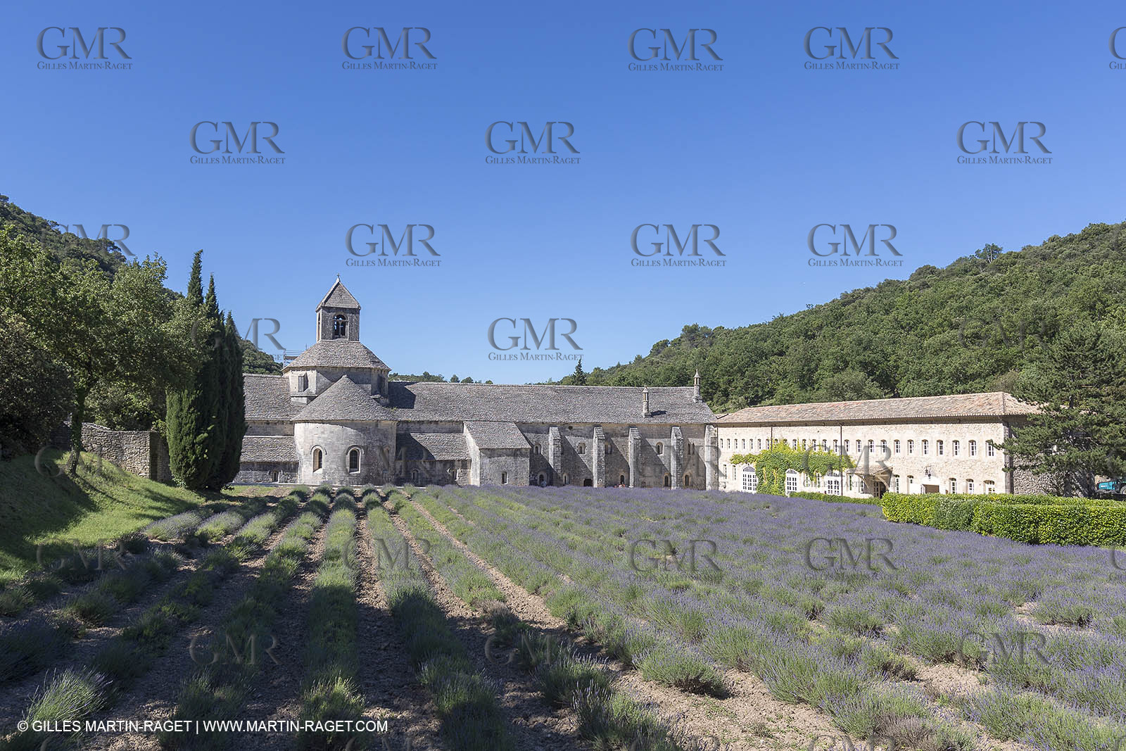 25 06 2018, Gordes (FRA,84), Abbaye de Sénanque
