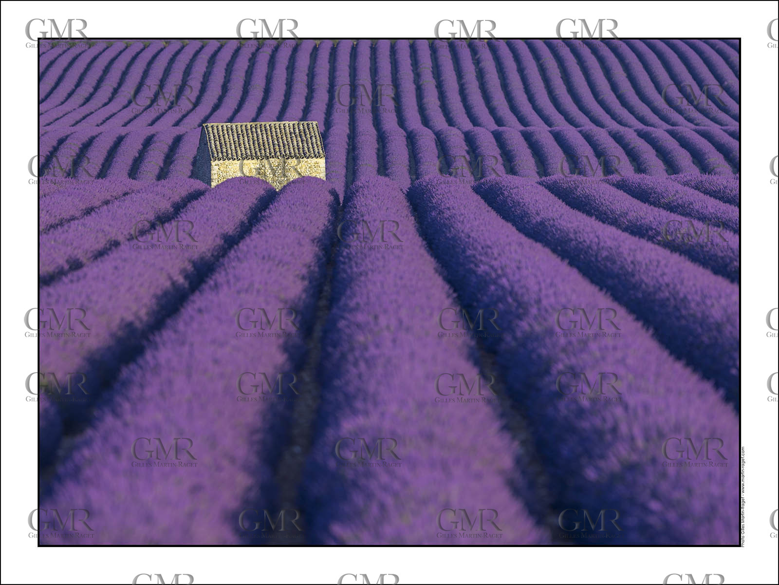 Product: in house made quality print on 8 ultrachome colors Epson ink Jet printer.Available sizes: . 30x40 cm. 50x70 cm. 80x120 cmAvailable papers: . Standard 250 gr glossy paper print, black streak, white margin, no signature. Top quality glossy 290 gr. paper, black streak, white margin, checked and signed by the author. Fine Art print (signed, numbered, stamped, registered) on demand. Other supports (Canvas, Acrylic, Metal) on demandPackaging: cylindric reinforced tubeShipping options: regular mail or Shipping companyClick on the basket icon to select your options and start the online ordering process