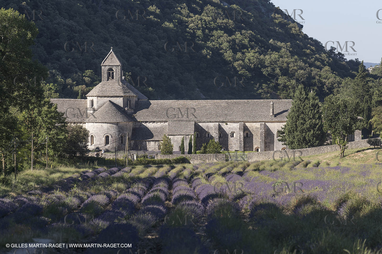 25 06 2018, Gordes (FRA,84), Abbaye de Sénanque