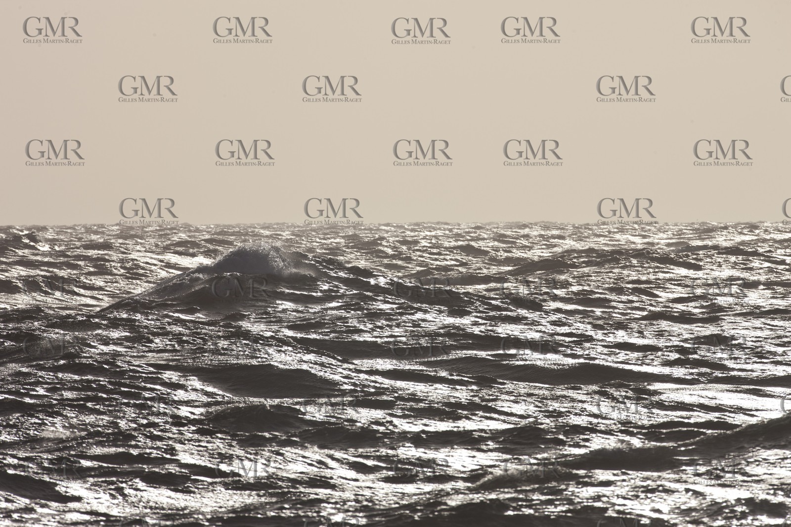 27 08 2010 - Minorque (ESP) - Cap favaritx (East Coast)