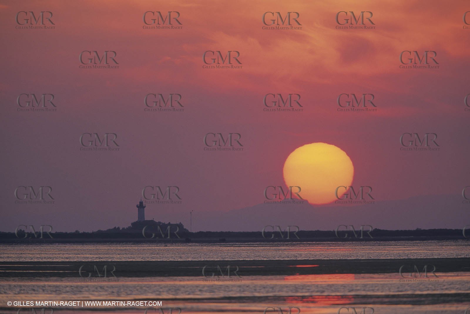 France, Provence, Camargue, Nature