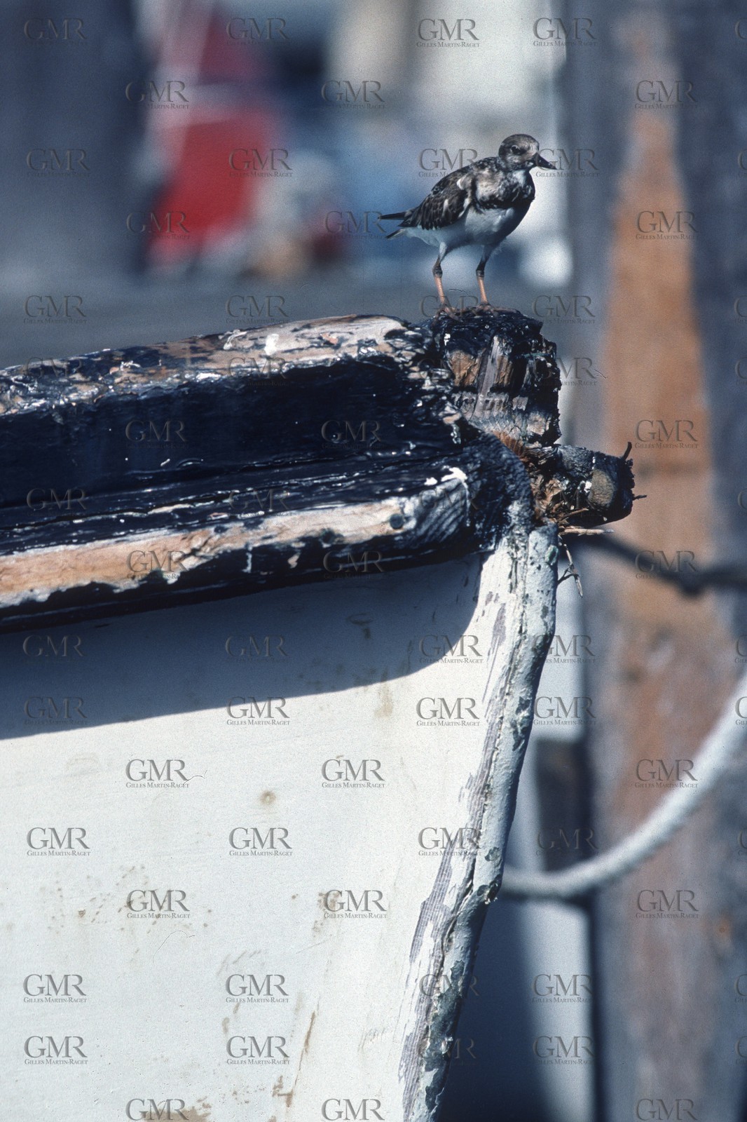 Destinations - USA - Bahamas