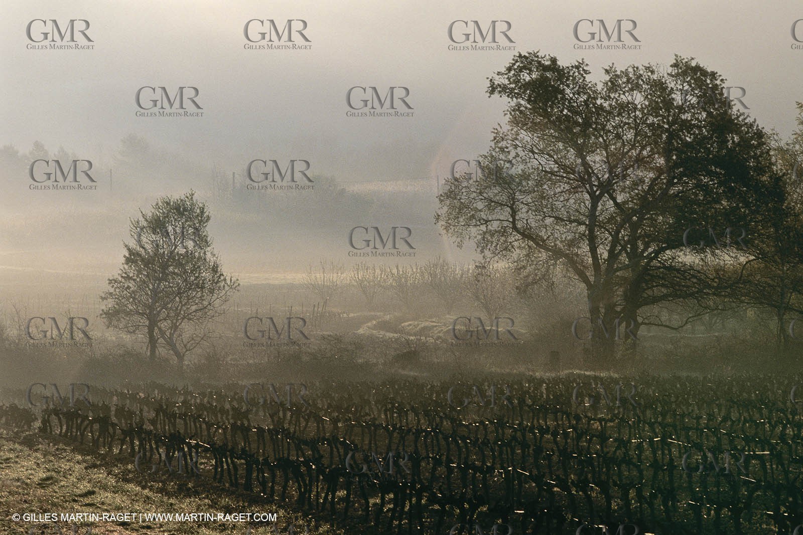 Luberon in winter near Saint Satrunin les Apt (FRA,84)