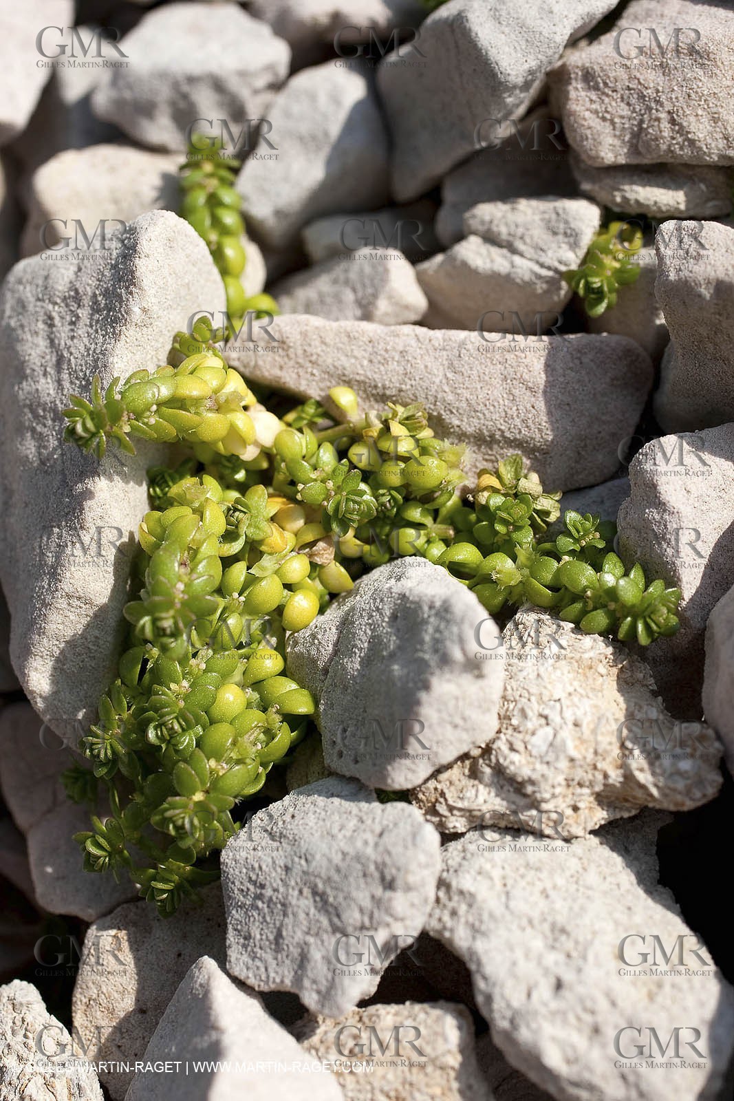 19 03 2009 - Marseille (FRA, 13) - Calanques