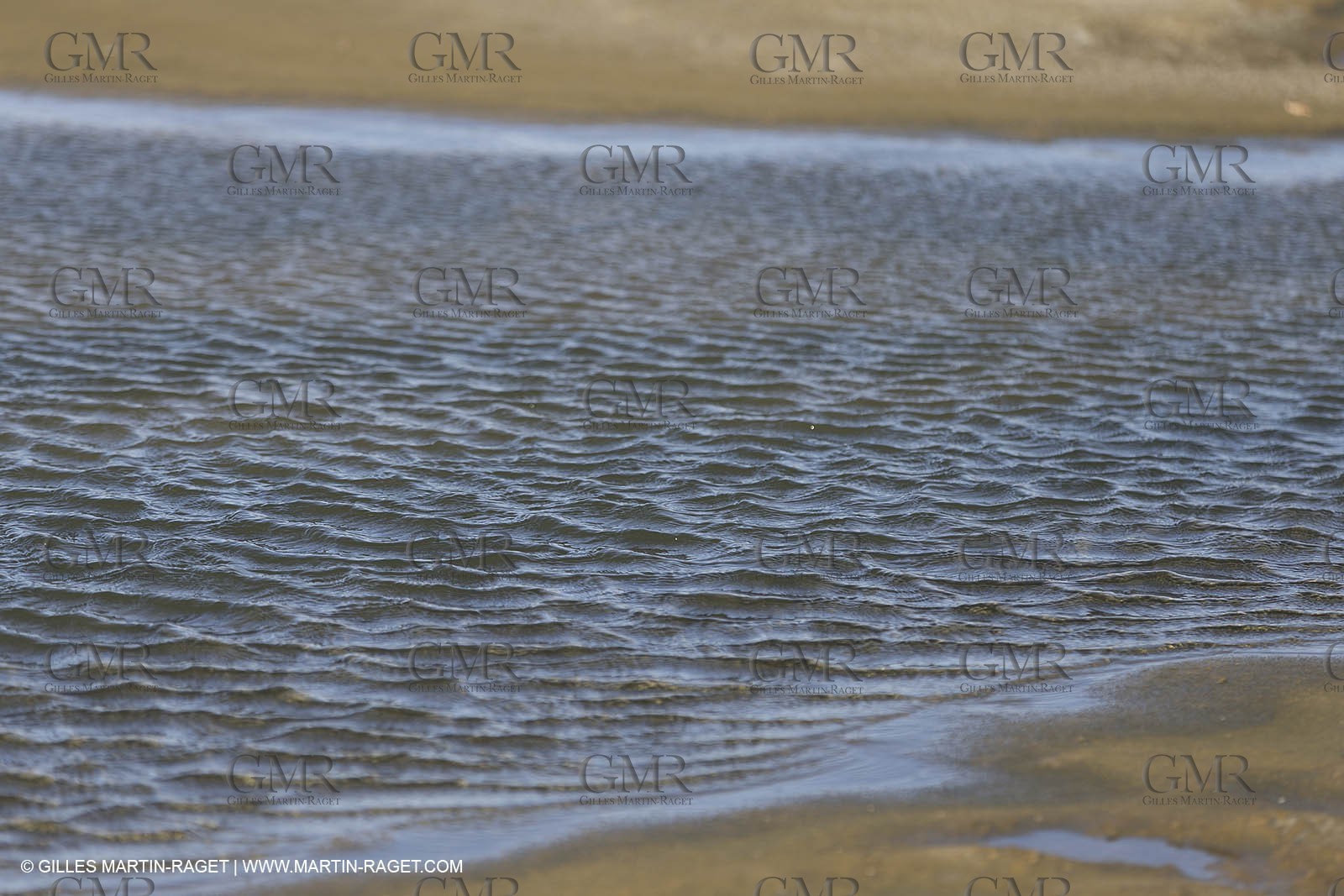 23 10 2014, Salins de Giraud (FRA,13), Salt & Speed 2014, Charlotte Consorti