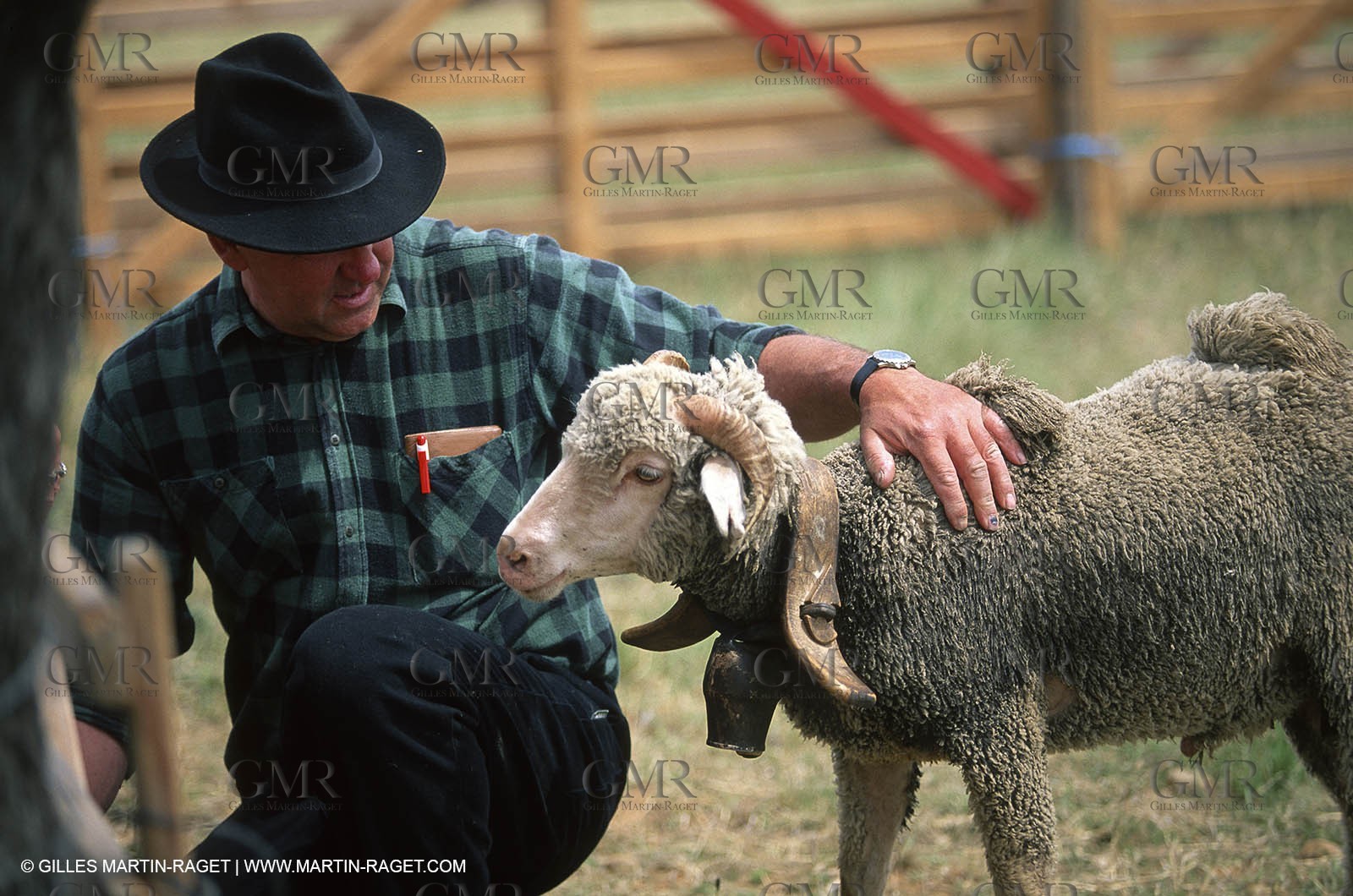 Saint Rémy de Provence (FRA,13) - Sheep stocks migration Fest