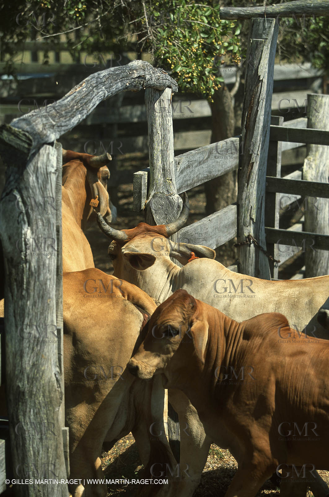 Destinations - South Pacific Ocean - New Caledonia