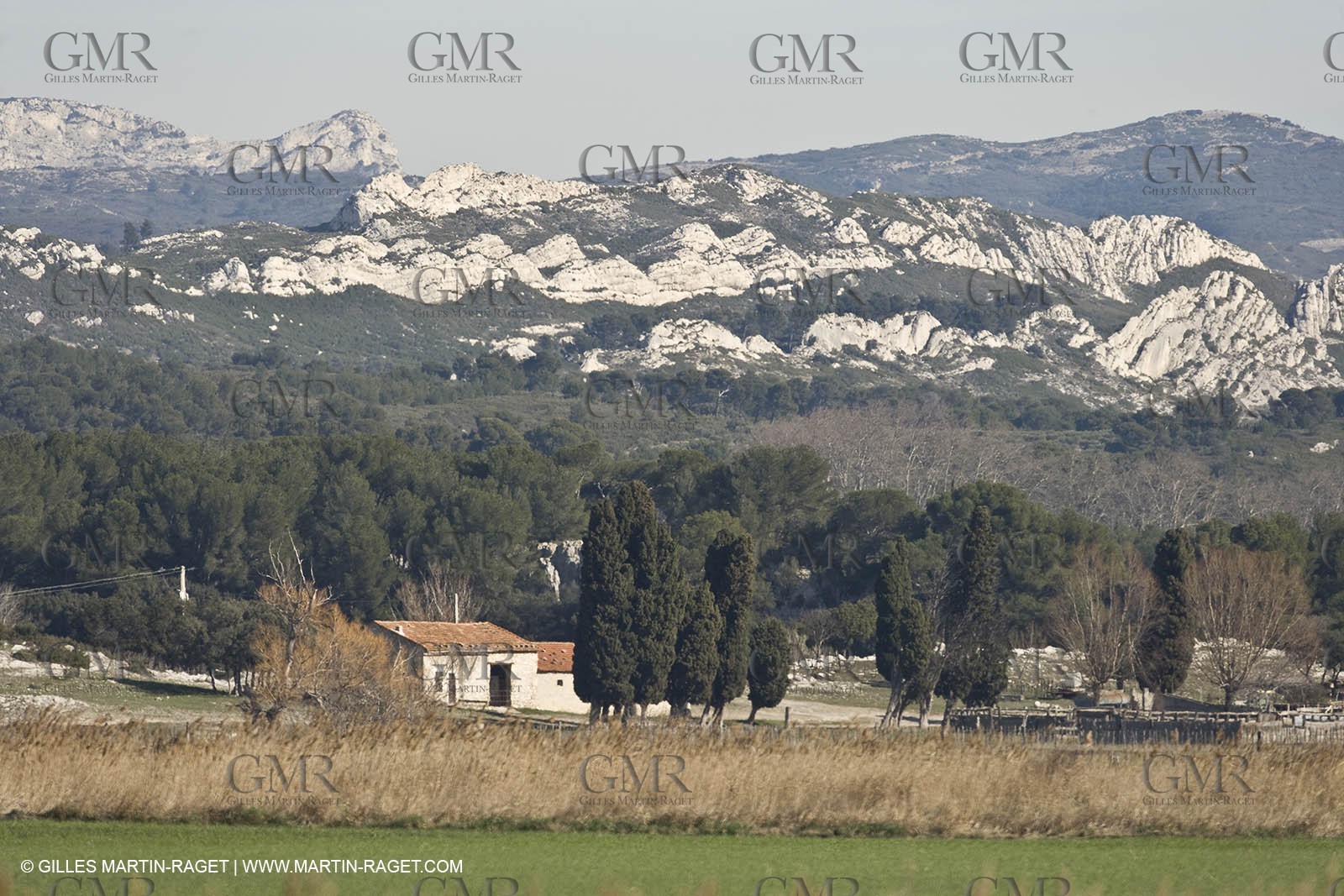 05 02 2008 - Arles (FRA, 13) - Arles surroundings landscapes
