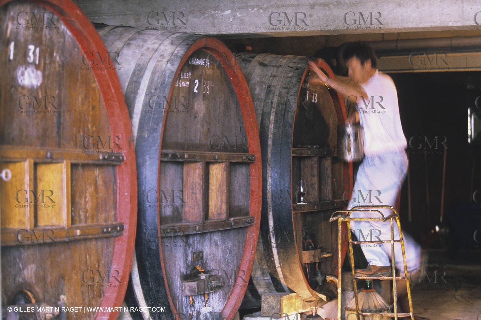 Vin, Vigne , Vendanges, vignification, vignobles, France, Provence, Côte du Rhône, Rosé