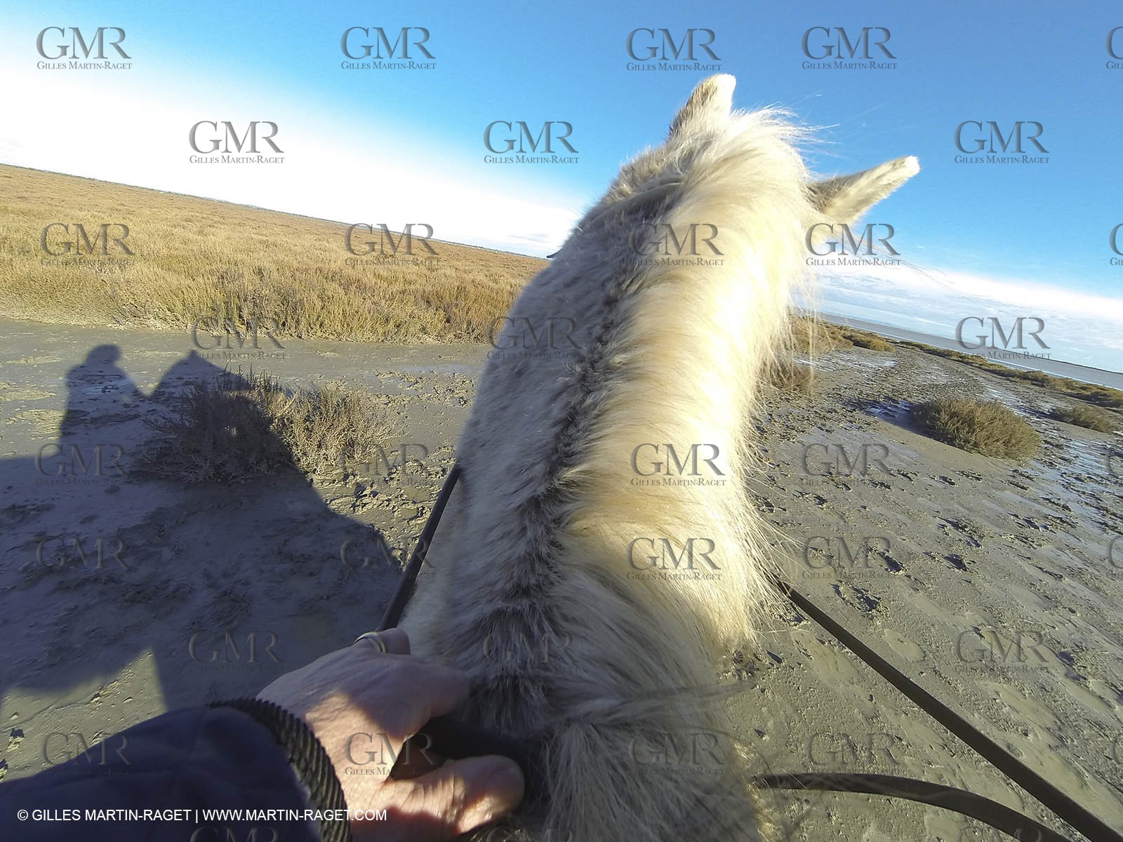 26 12 2013 - Les Saintes Maries de la Mer (FRA,13) - Horese riding at Cabanes de Cacharel