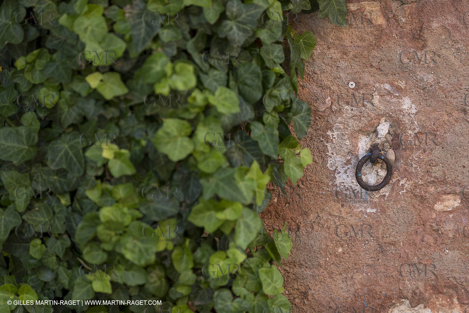 15 06 2018, Roussillon (FRA,84)