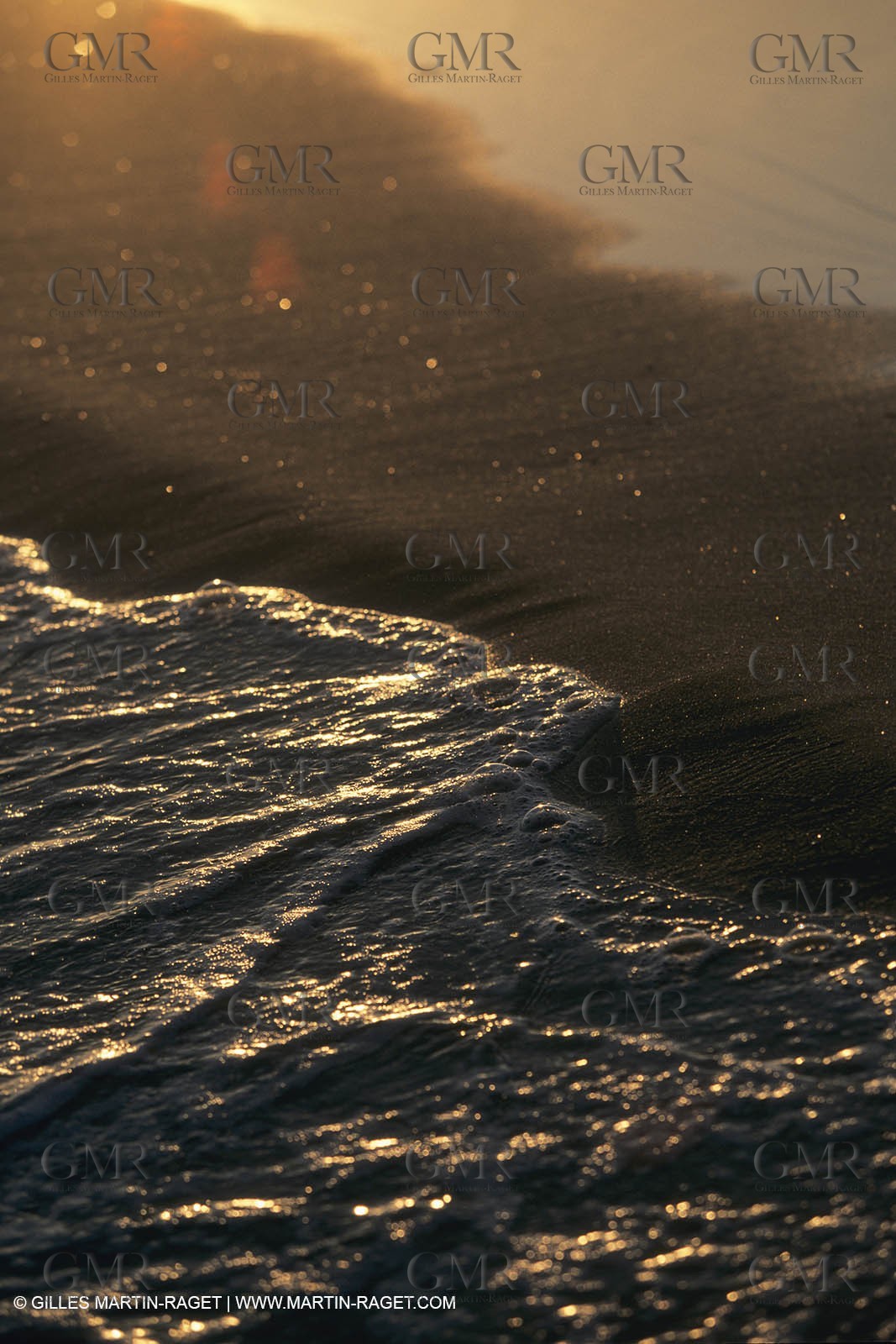 France, Provence, Camargue, Nature, marais, plage, beaches, marshes