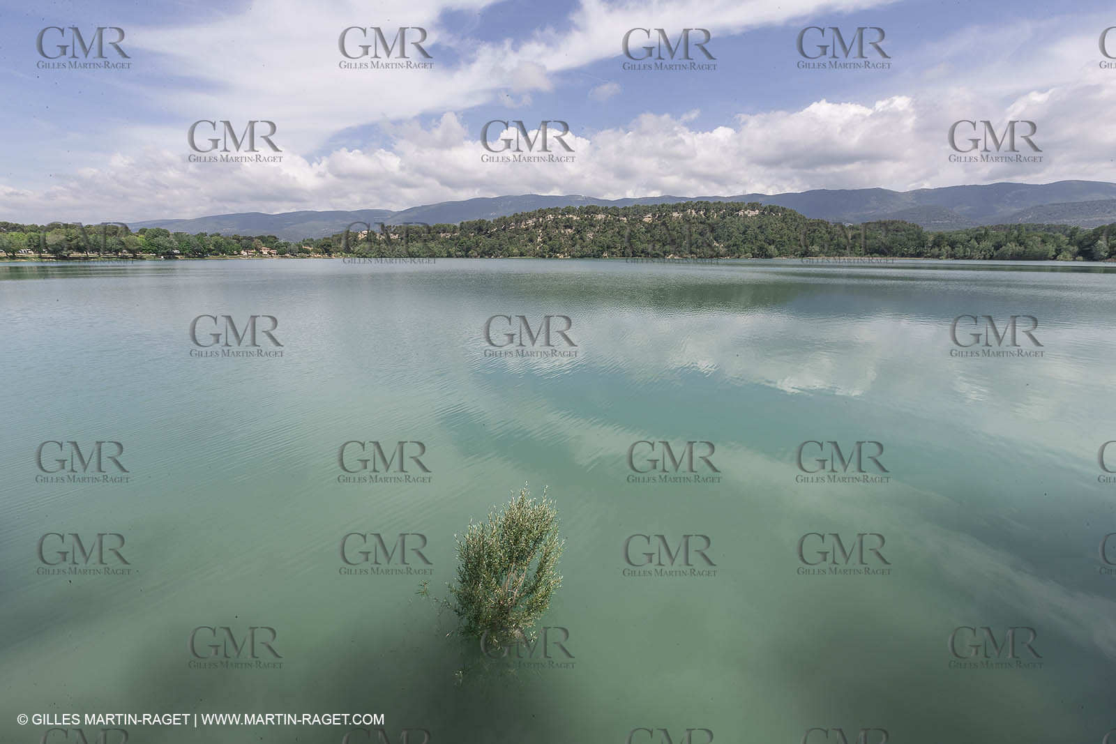 02 06 2018,La Motte d'Aigues, Etang de la Bonde