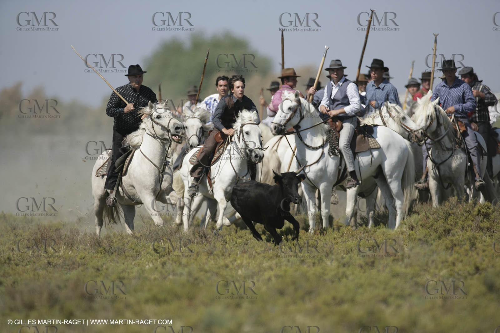 Arles 2006, Camargue horses races