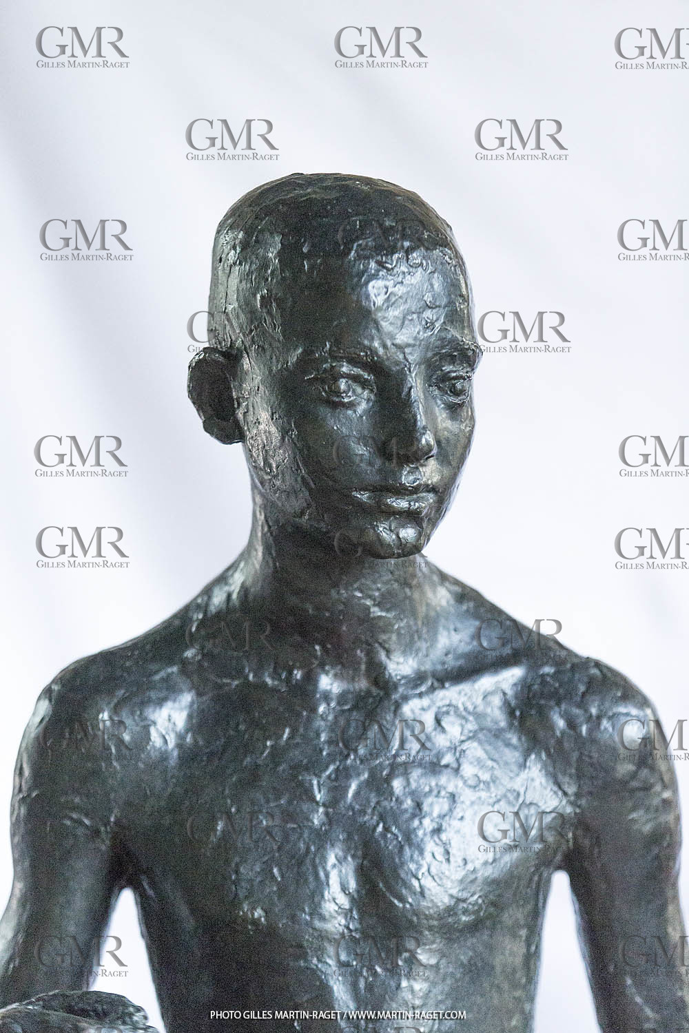 06 03 2016, Saint-Etienne du Grès (FRA,13), Oeuvre de Germaine Richier, Loretto I 1934, Bronze patiné foncé, Numéroté 4 6, fondeur Susse, Paris, 160 x 52 x 35 cm, Collection particulière