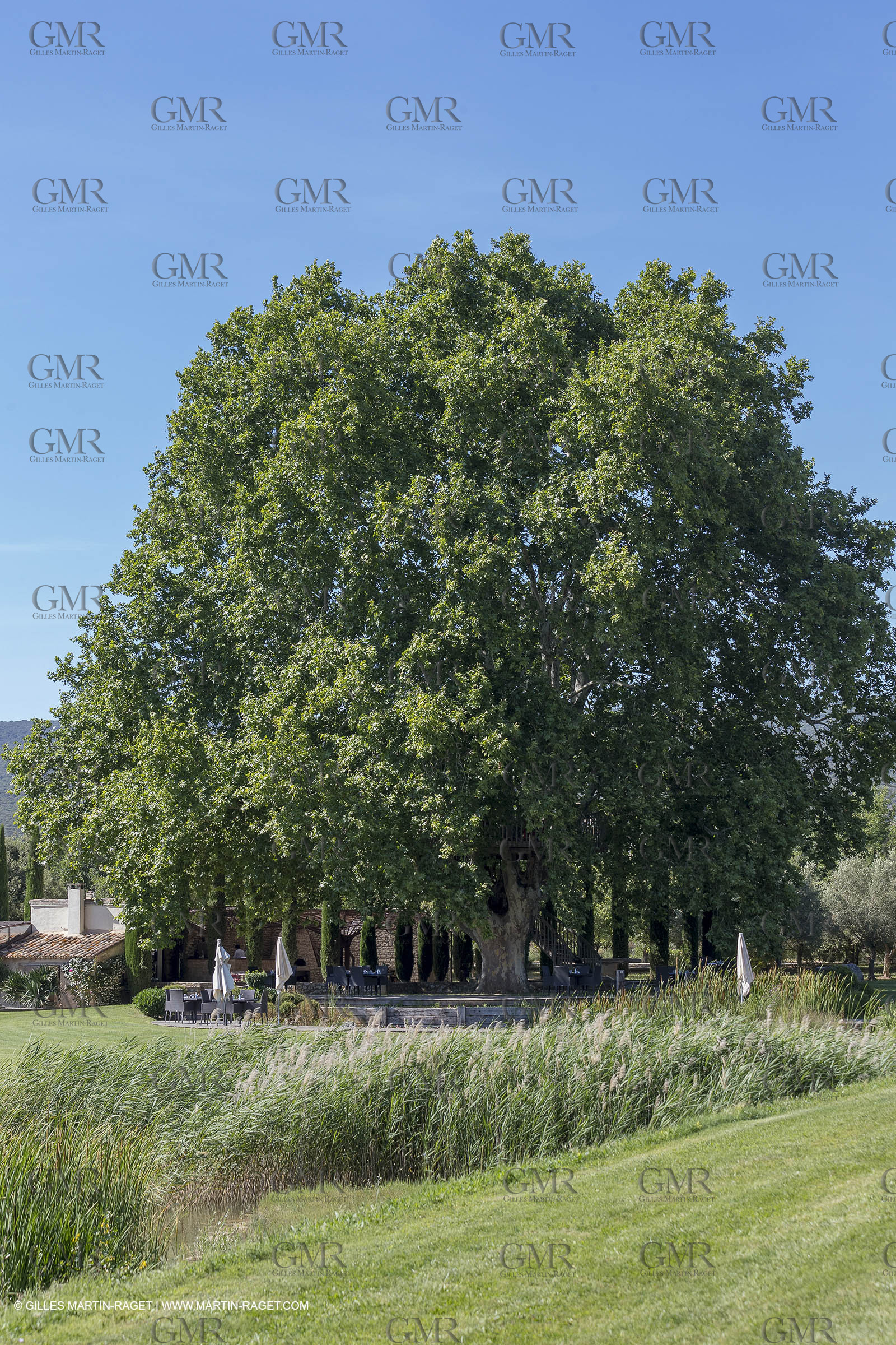 22 06 2018, Saint-Saturnin les Apts (FRA,84), Domaine des Andéols