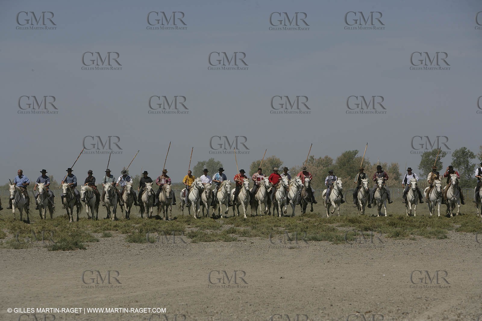 Arles 2006, Camargue horses races