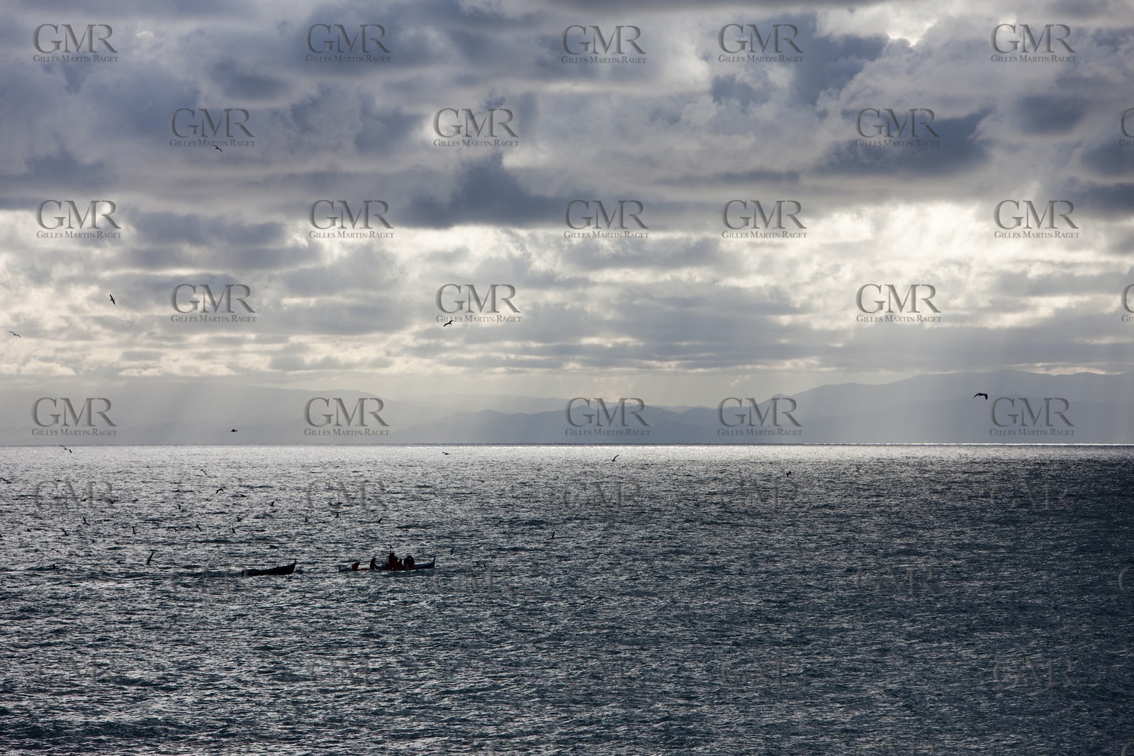 08 05 2010, Italia, Liguria, Camogli