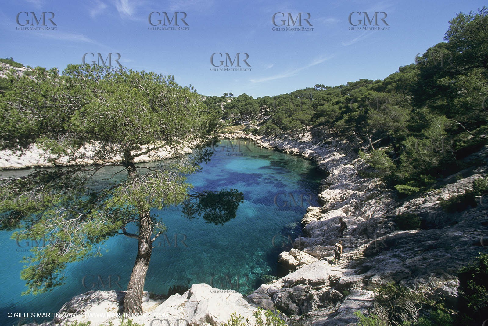 France, Provence, Les Calanques & Iles de Marseille, port Pin