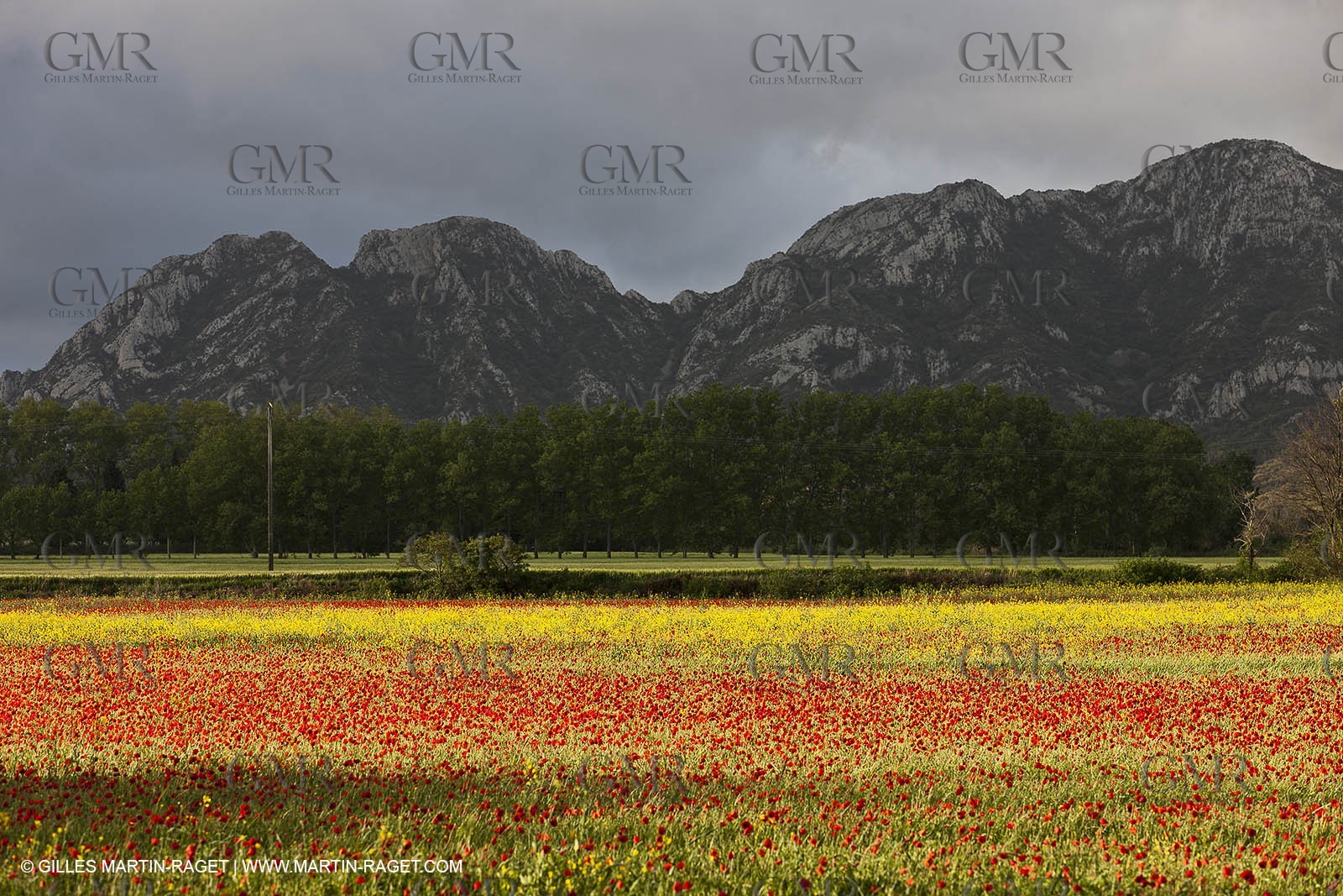 29 04 2012 ( Saint Rémy de Provence (FRA, 13) - Chaîne des Alpilles vers Romanin