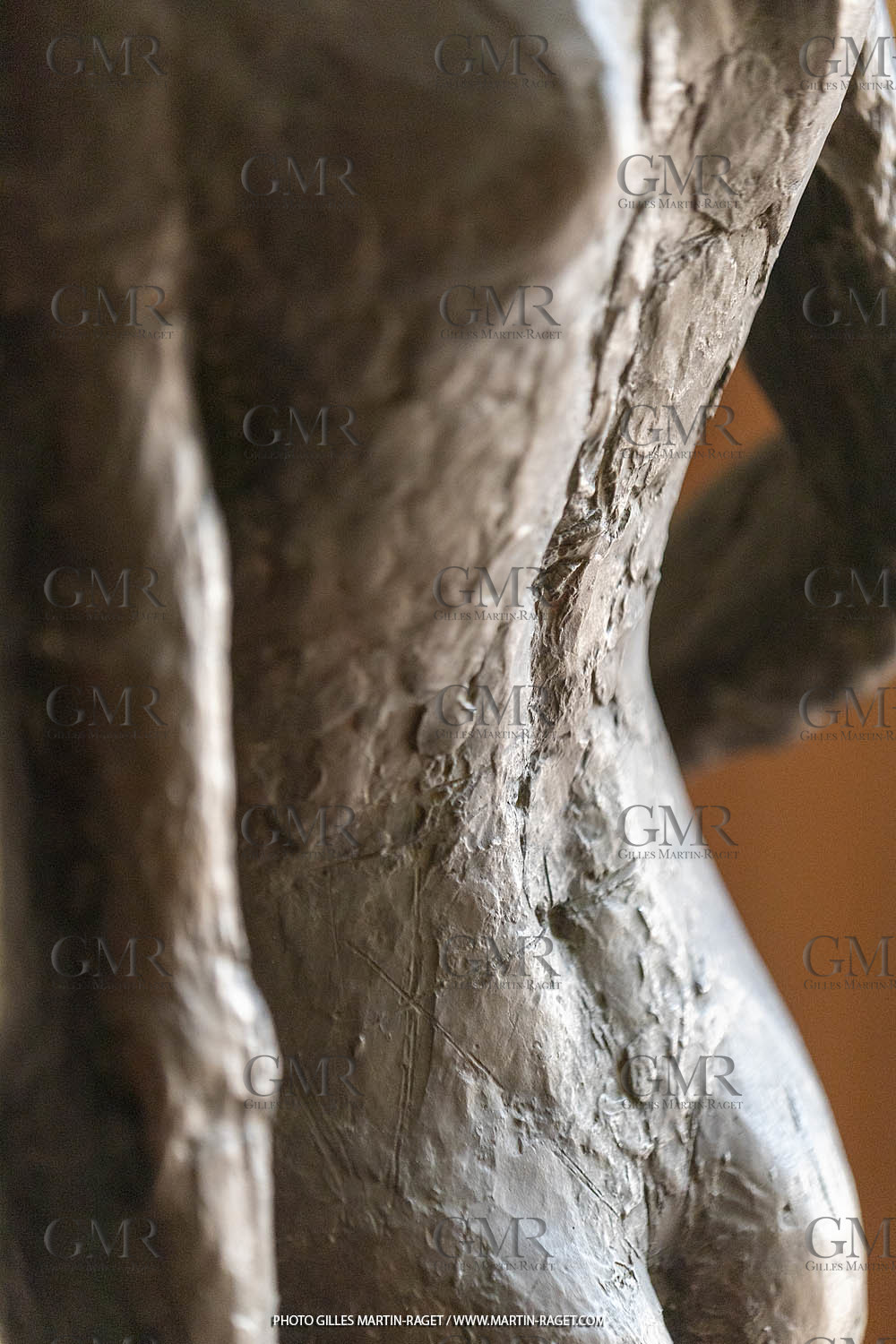 20 07 2020, St Rémy de Provence, Oeuvre de Germaine Richier, Torse I 1934, Bronze patiné foncé, épreuve d'exposition, Fondeur : Susse, Paris, 108 X 47,5 X 33 cm, collection particulière,