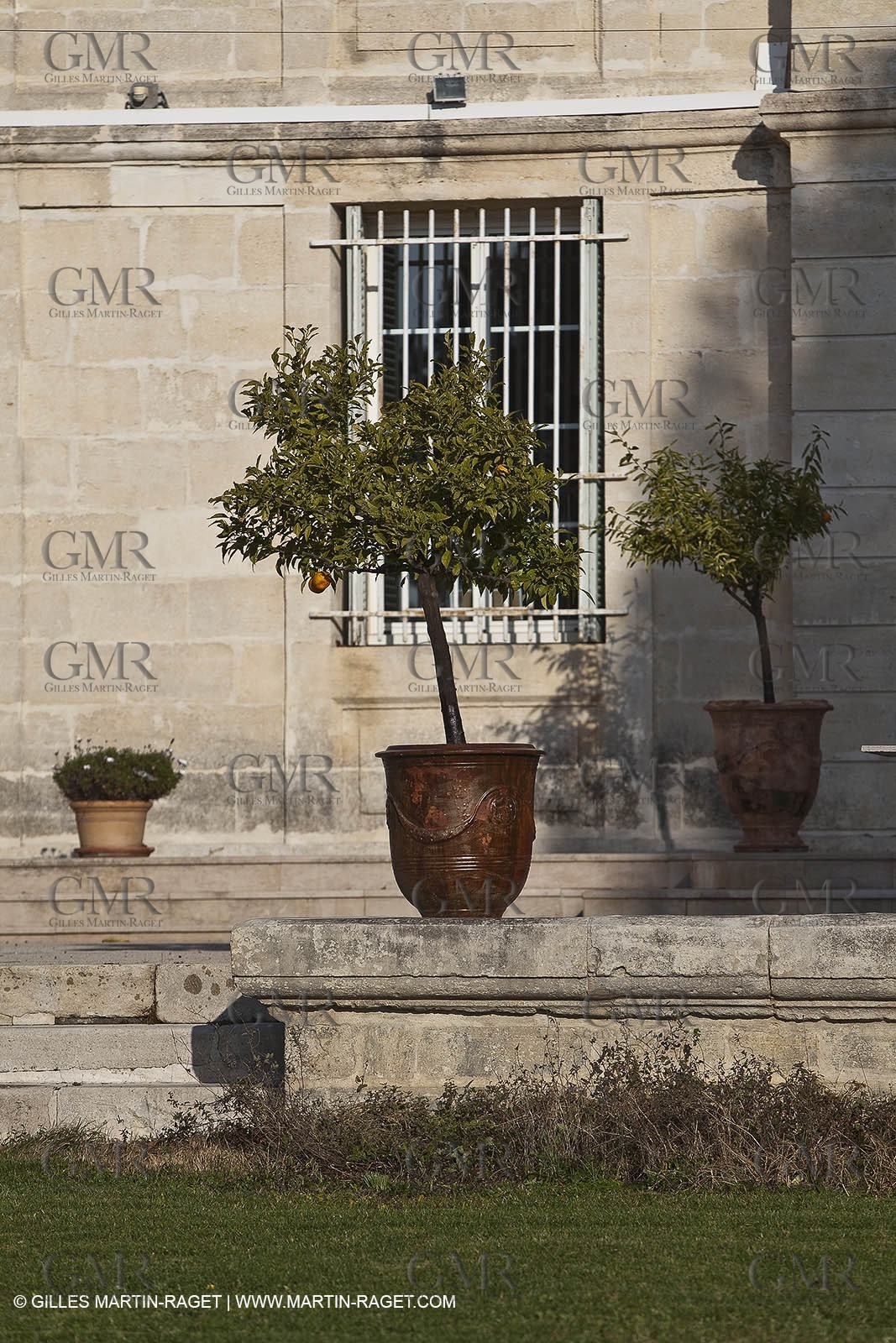 Saint Drézéry (FRA, 34), Domaine de Puech Haut