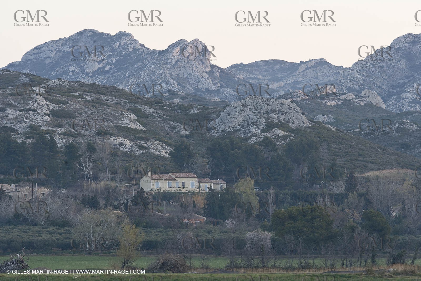 22 02 2008 - Maussane (FRA, 13) - Alpilles hills landscapes