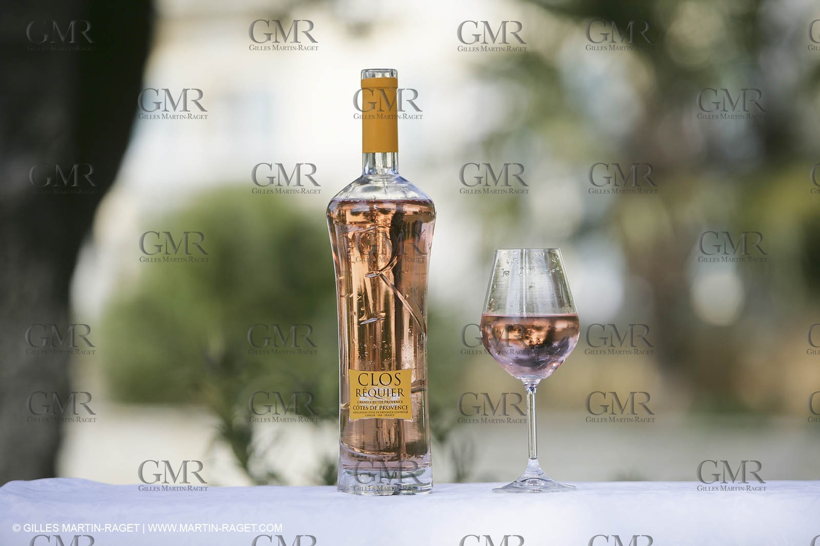 28 02 2008 - Cabasse (FRA, 83) - Domaine du Lac vines