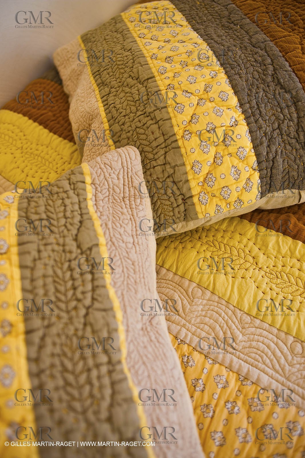 22 12 2008-Carcès (FRA,83) - Domaine du Lac