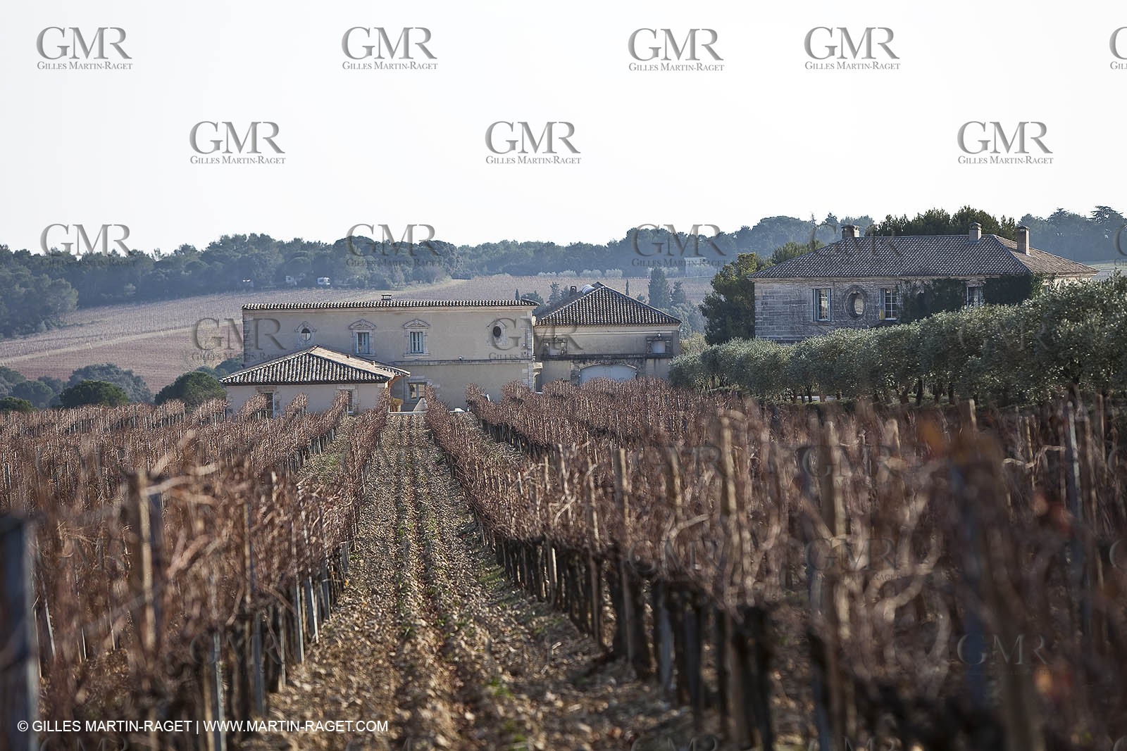 Saint Drézéry (FRA, 34), Domaine de Puech Haut