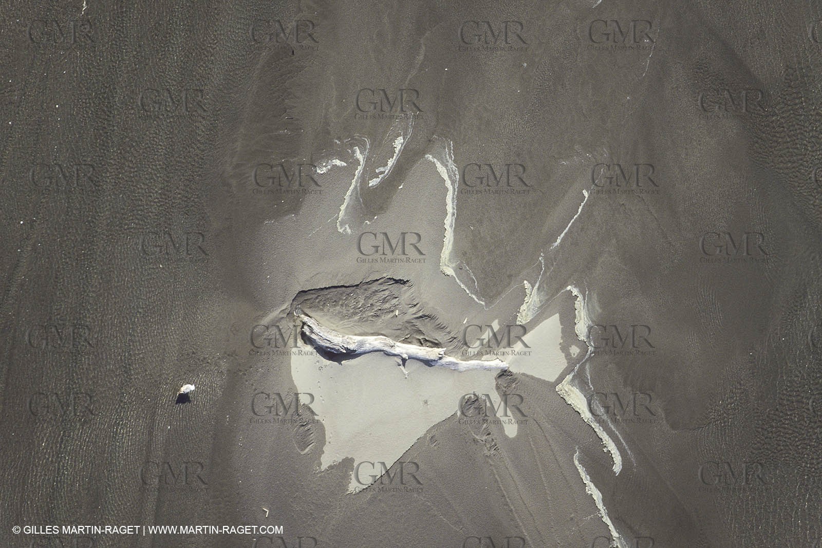 France, Provence, Camargue, Nature