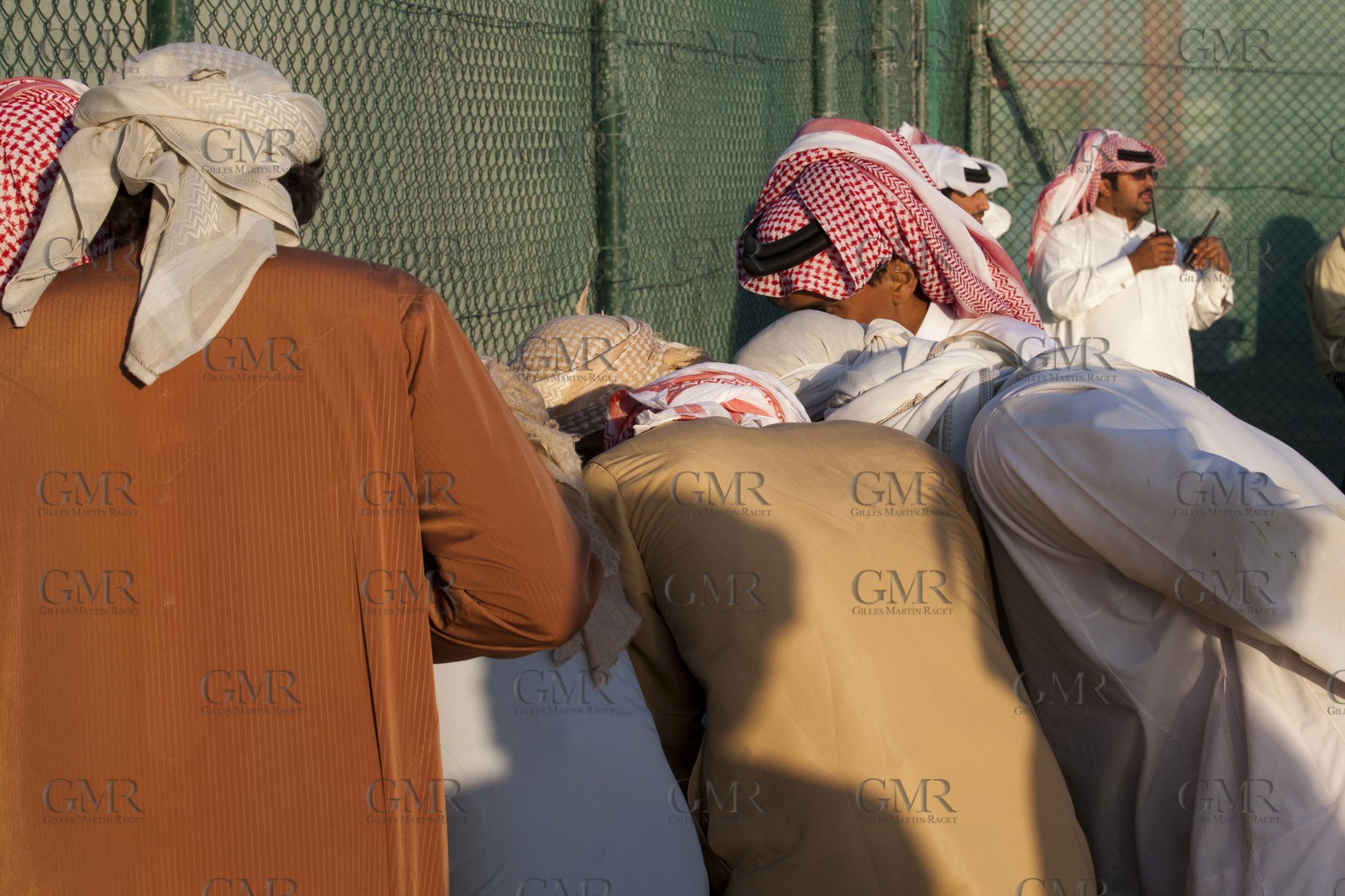 20 11 2010 - Dubai (UAE) - Camel races