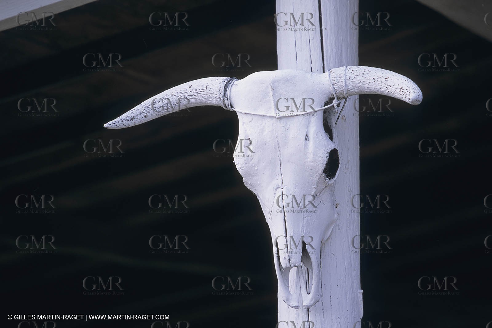 France, Provence, Camargue, Mas traditionnel de Camargue