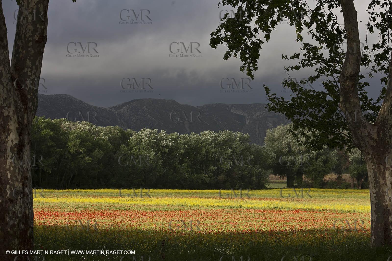 29 04 2012 ( Saint Rémy de Provence (FRA, 13) - Chaîne des Alpilles vers Romanin