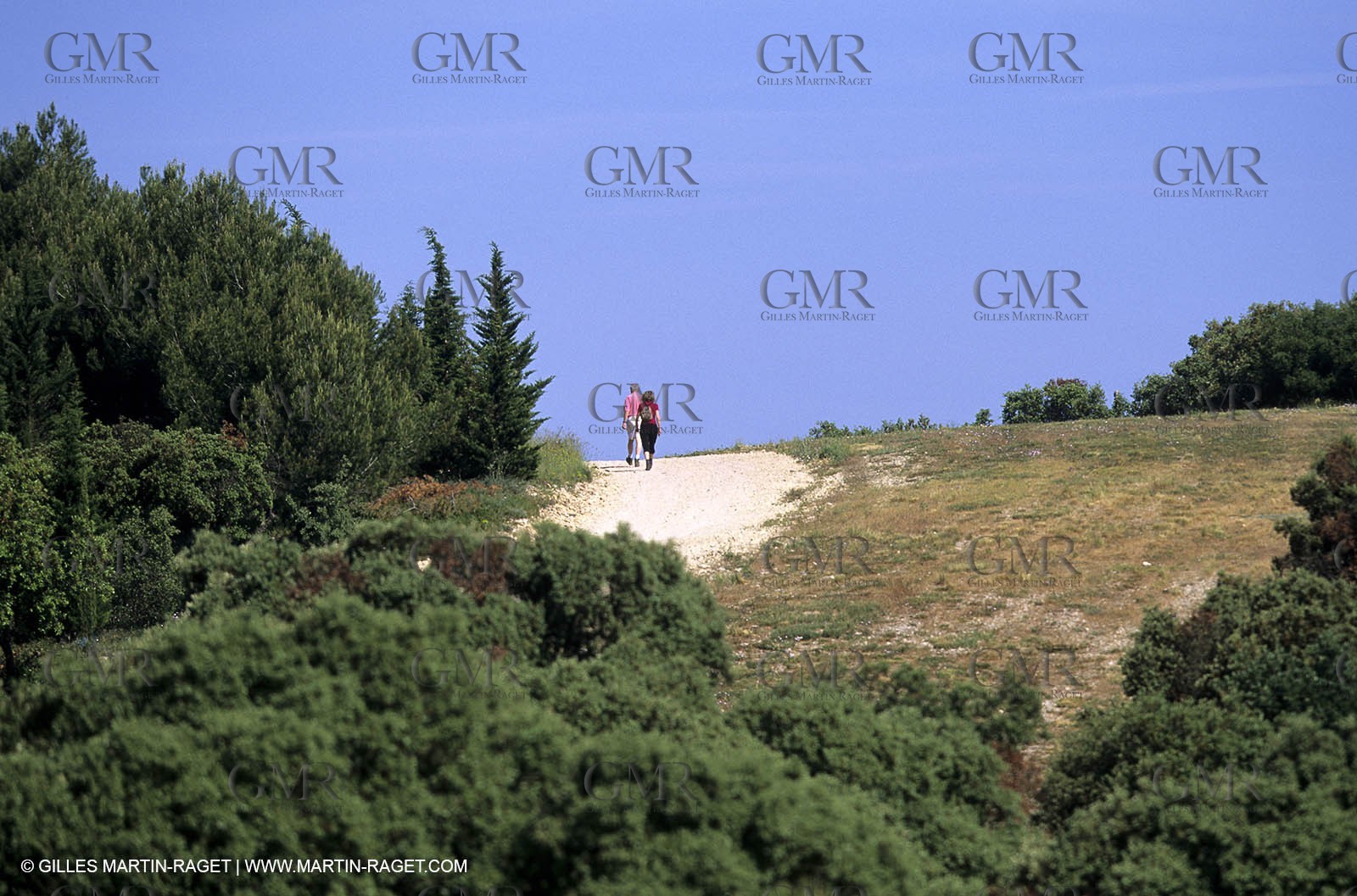 Nîmes garrigue