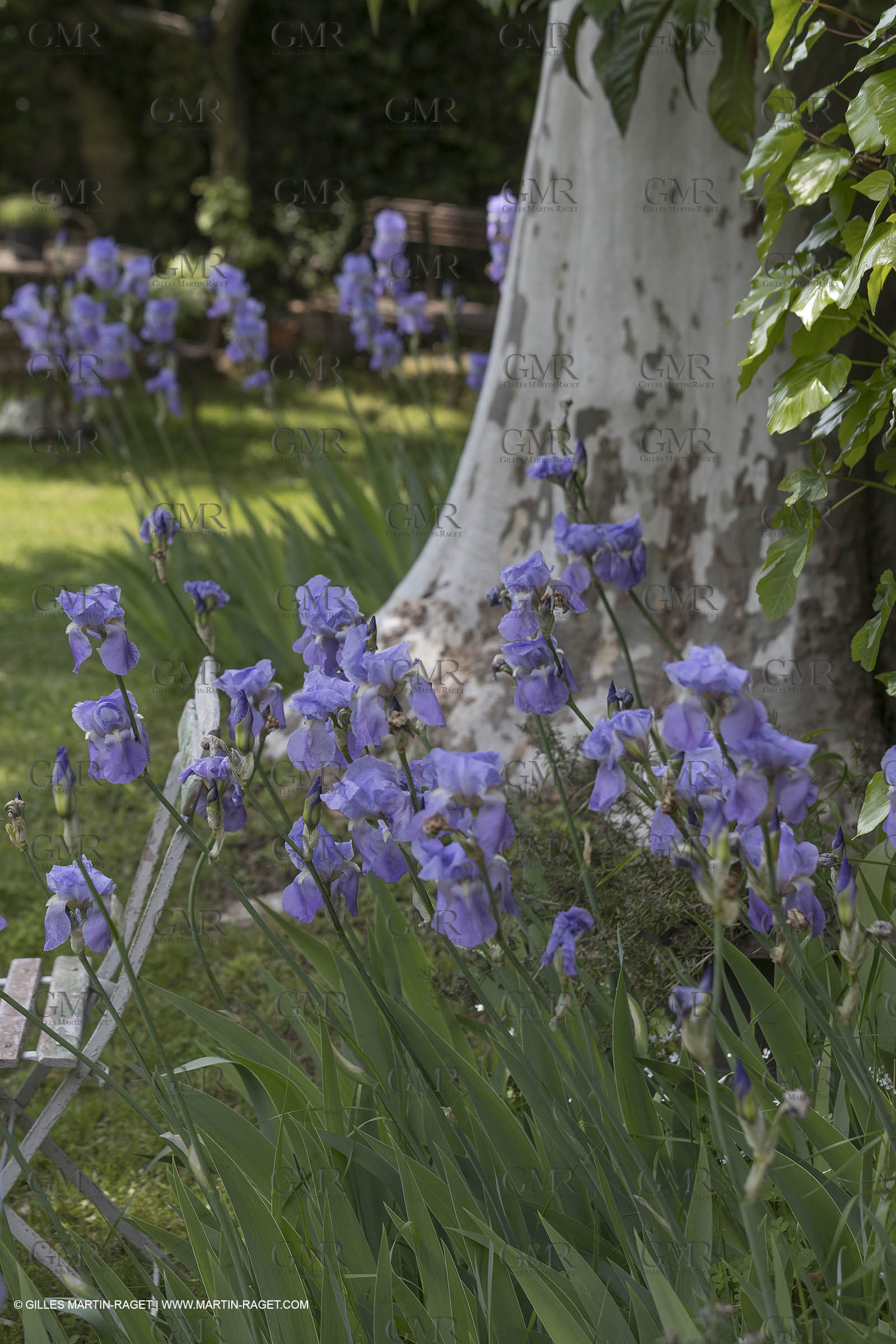 07 05 2018, Lourmarin (FRA,84), Maison d'hôte Villa Saint-Louis