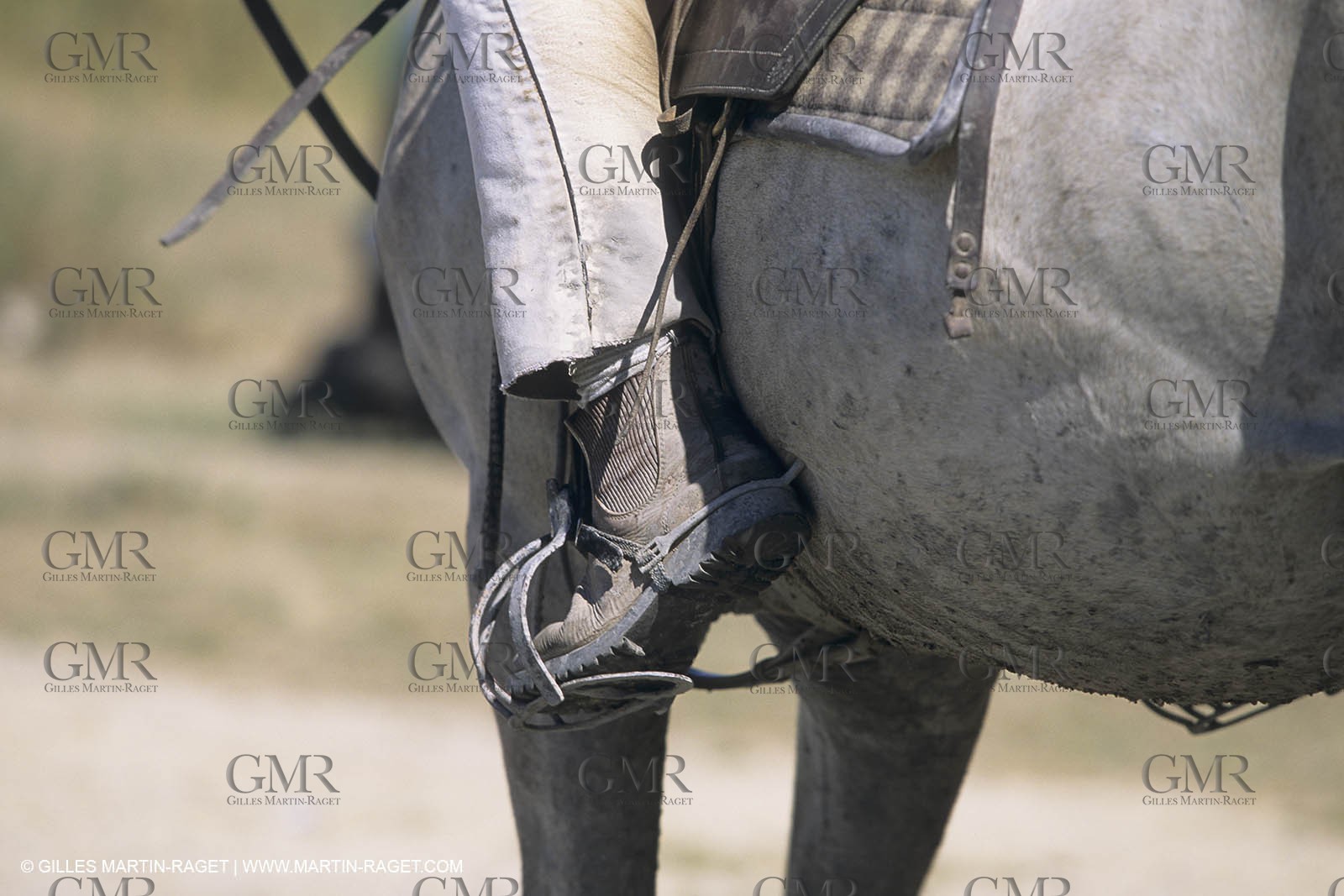 France, Provence, Camargue, Gardians de Camargue, métier, fêtes, élevage, tri