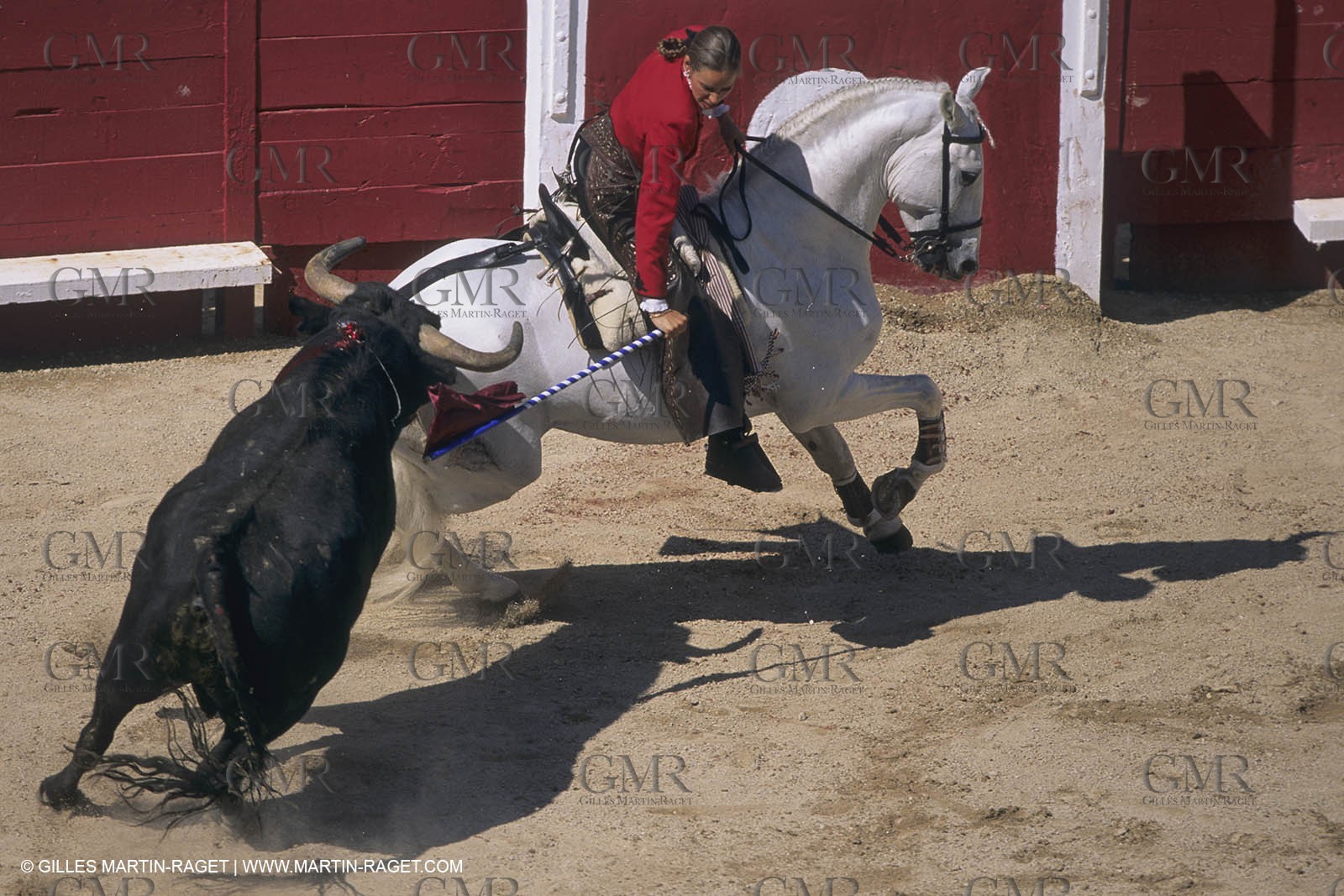 France, Provence, Traditions, Tauromachie, bull fights