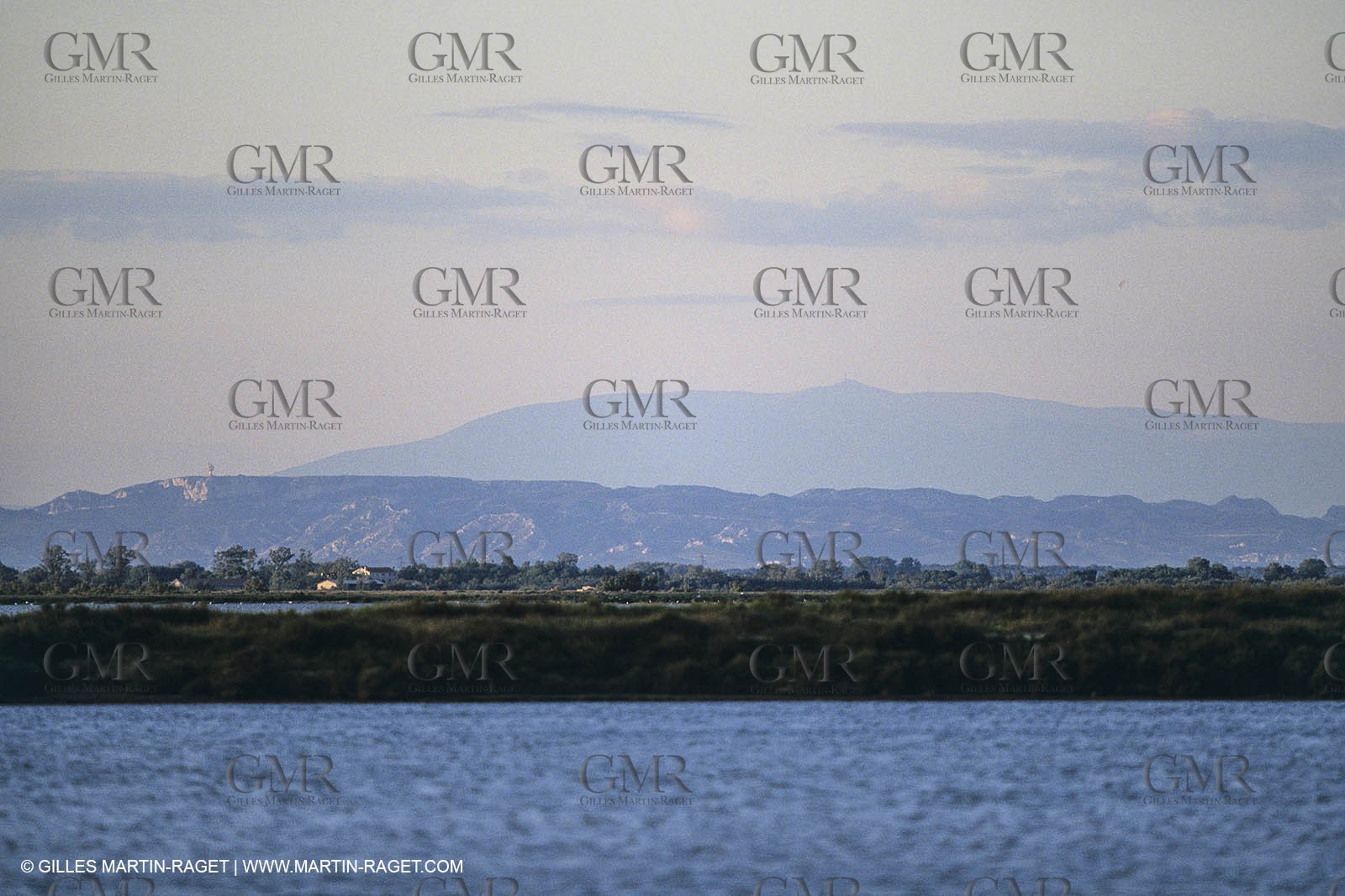 France, Provence, Camargue, Nature, plage, sable