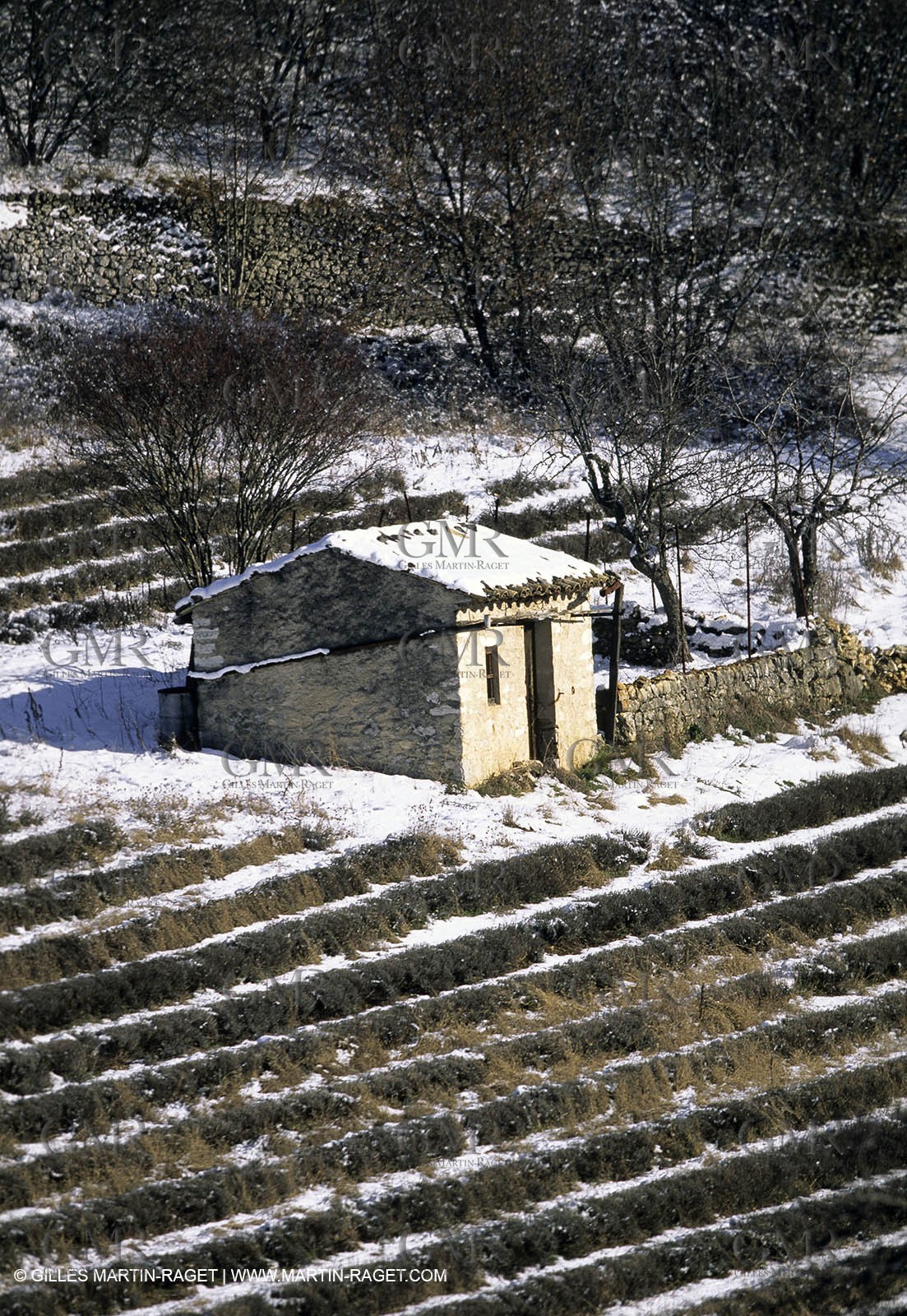 Provence under snow