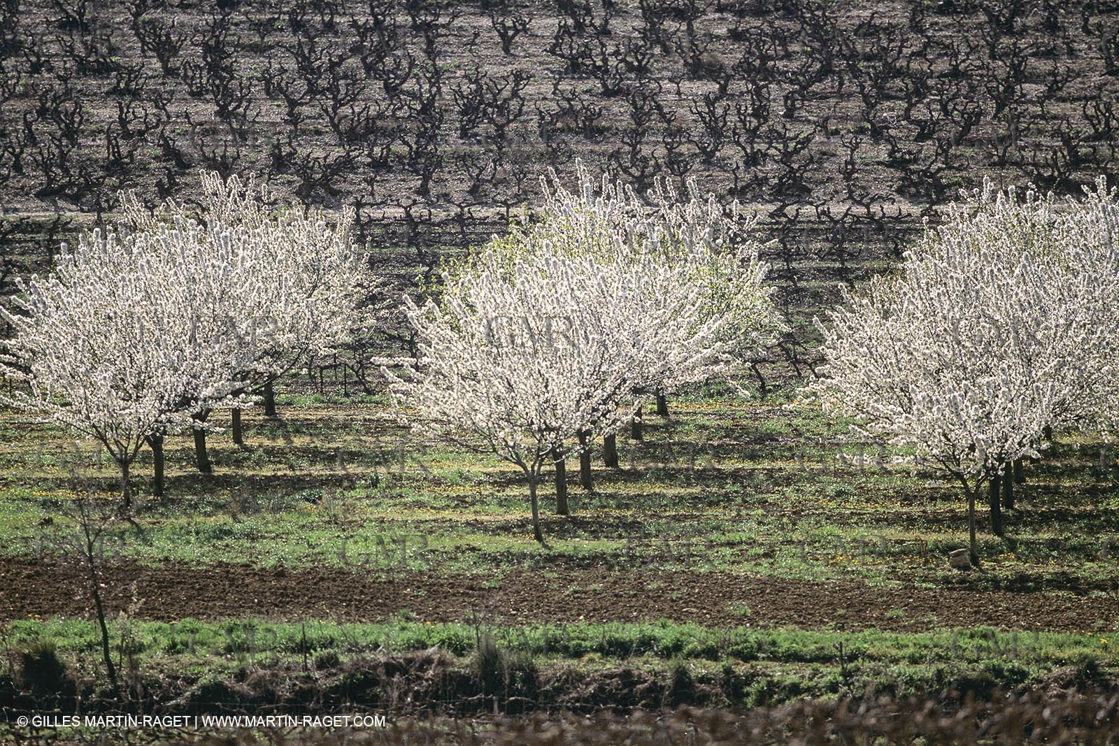 France, Provence, Paysages du Luberon, Luberon Landscapes