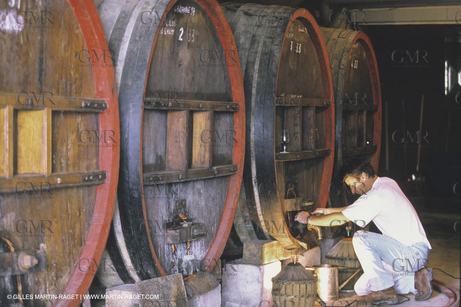 Vin, Vigne , Vendanges, vignification, vignobles, France, Provence, Côte du Rhône, Rosé