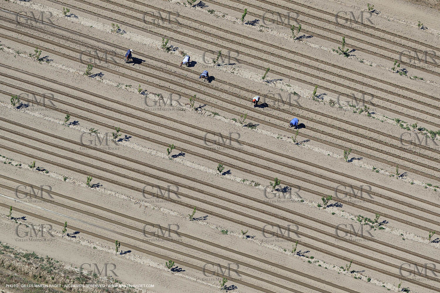 Payages des Costières (30)